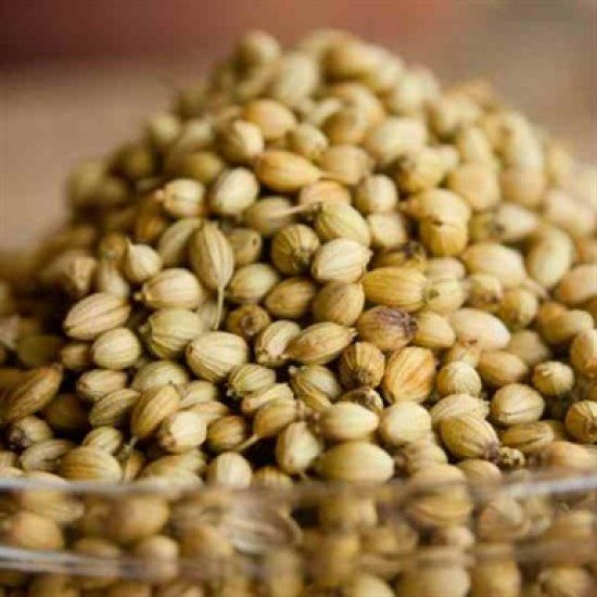 Coriander/Dhania - Seeds, 100 g Coriander/Dhania - Seeds, 100 g