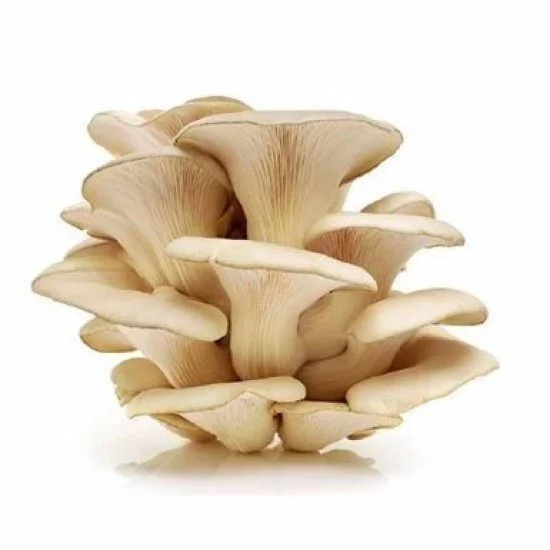 Oyster Mushrooms (Organically grown), 200 gm Oyster Mushrooms (Organically grown), 200 gm